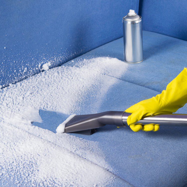 Interior Surface Care in Fresno, CA Interior Surface Care in Fresno, CA