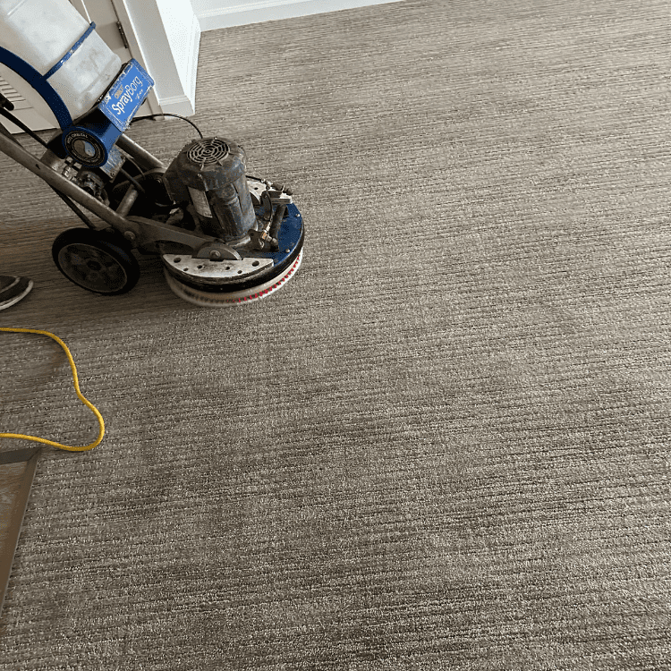 Interior Surface Care in Fresno, CA (2)