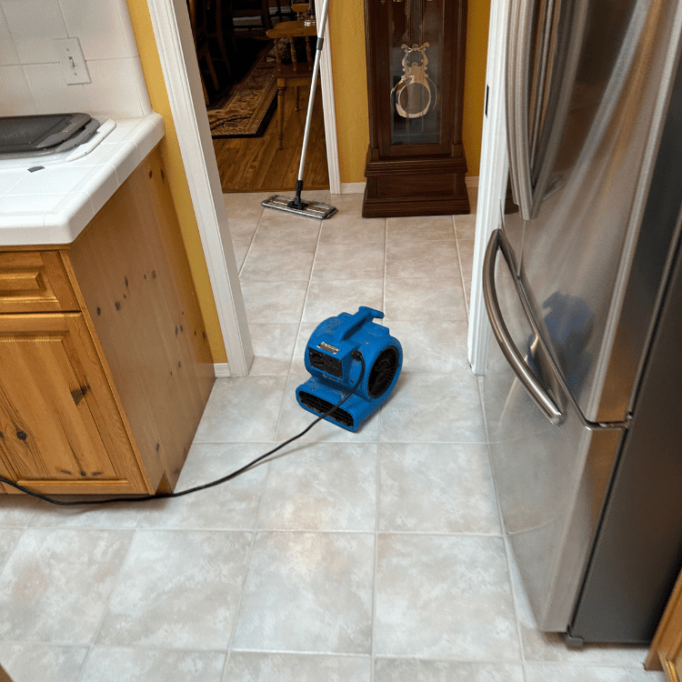 Interior Surface Care in Fresno, CA (26)
