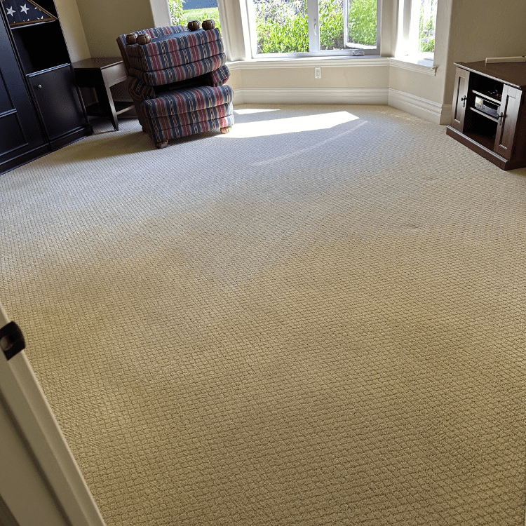 Interior Surface Care in Fresno, CA (57)